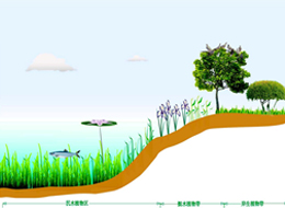 駁岸整治
