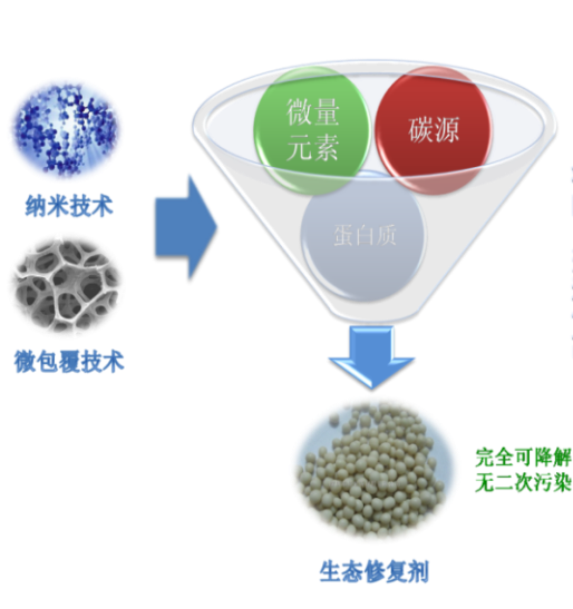 pgpr微生物擴陪係統 