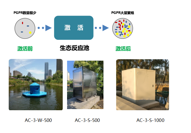 pgpr微（wēi）生物擴陪係統 