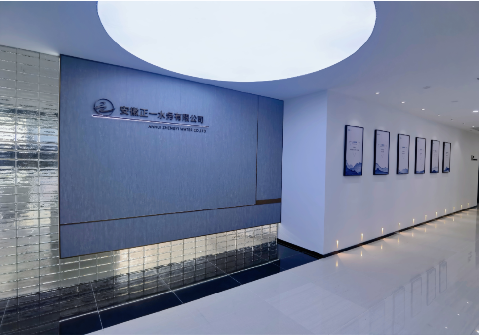 合（hé）肥市蜀山經開區黨工委委員賀麗麗一行蒞臨正一水務調研指導